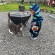 Getting Your Kids outdoors