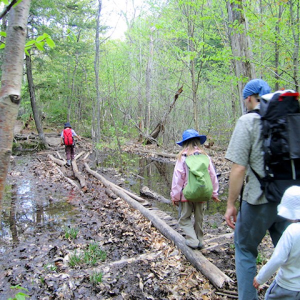 Getting Your Kids outdoors